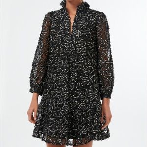 Tuckernuck Nightly Organza Palmerston dress